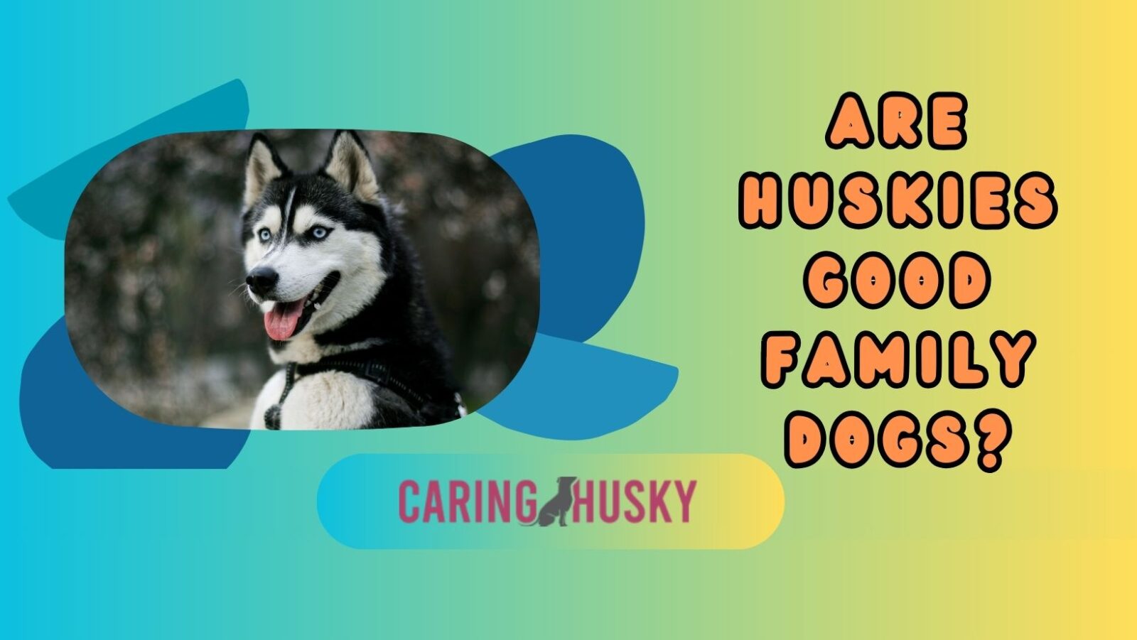 are huskies good family dogs