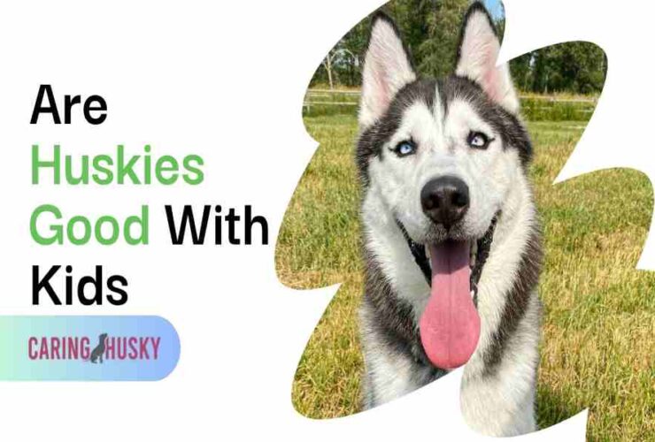 are huskies good with kids