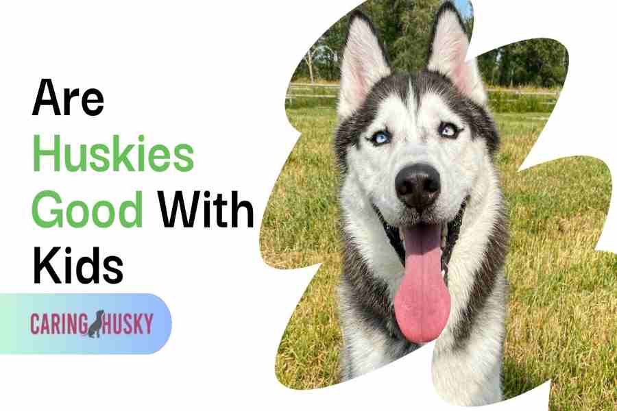 are huskies good with kids