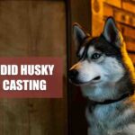 Why Did Husky Stop Casting